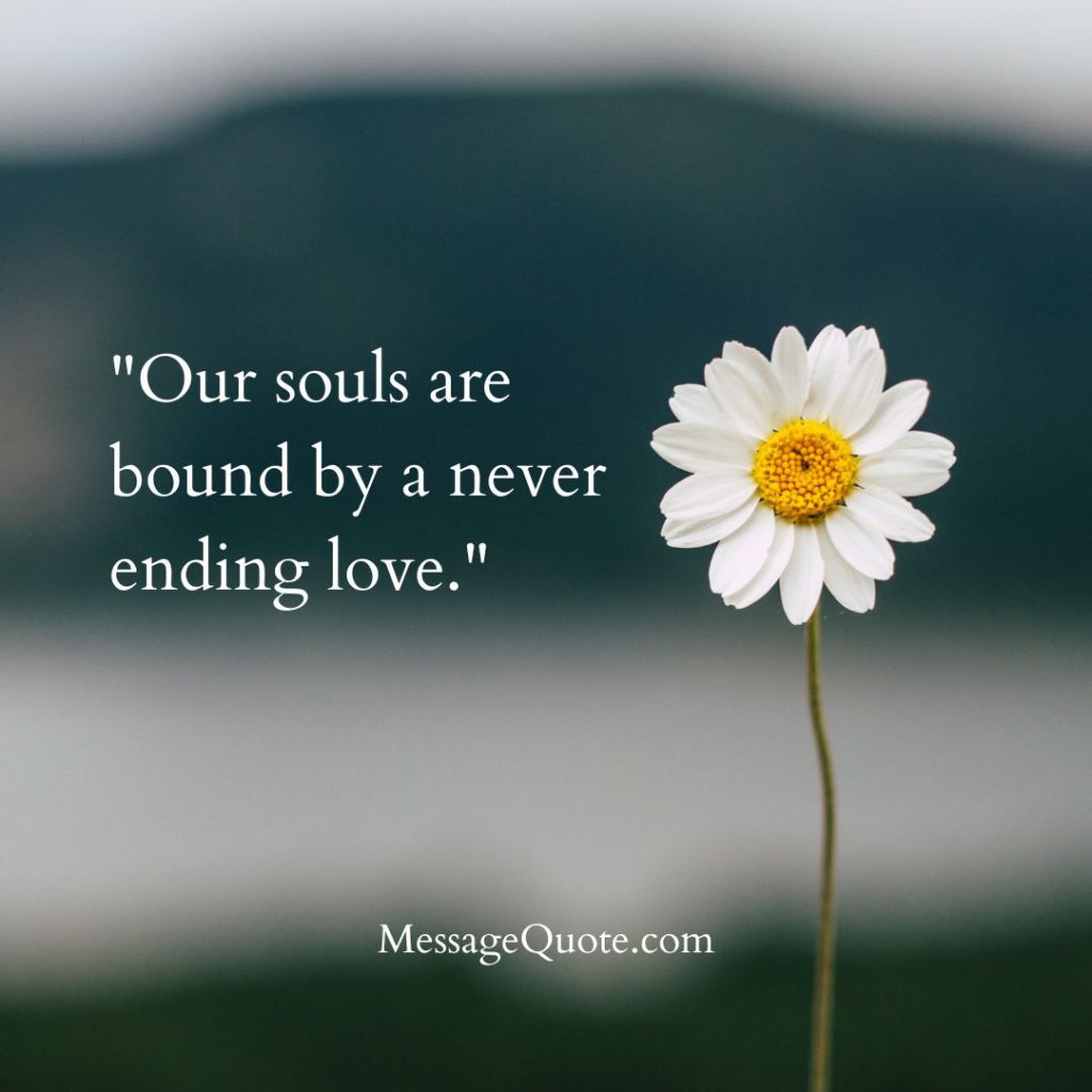 Never Ending Love Quotes for Him 4